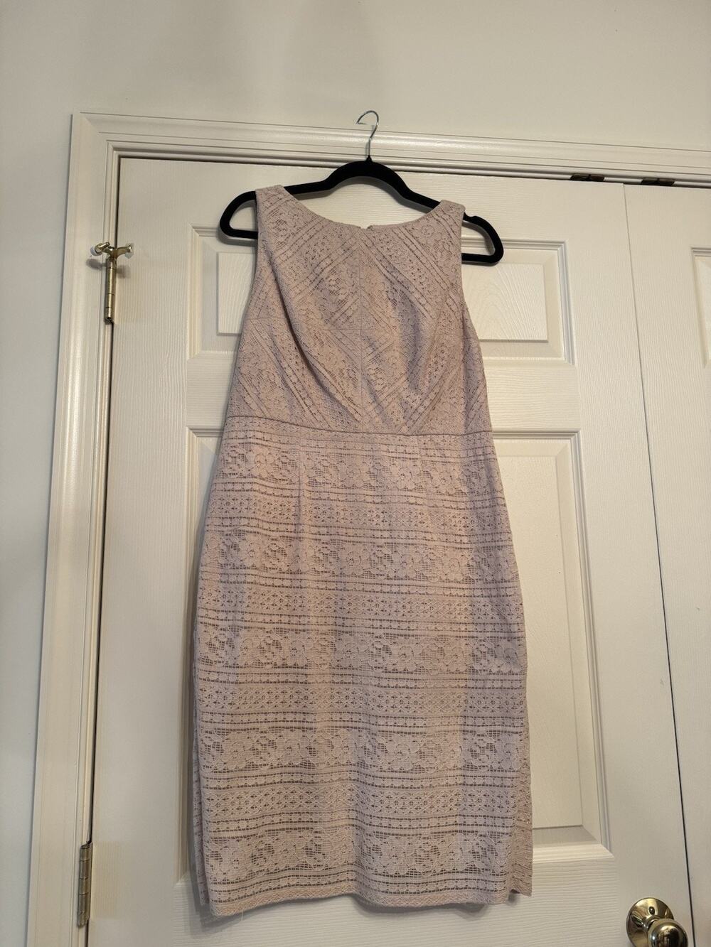 Adrianna Papell Pink Lace Sleeveless Sheath Cocktail Dress‎ - Petite Size 12P